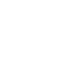 Excelence Icon